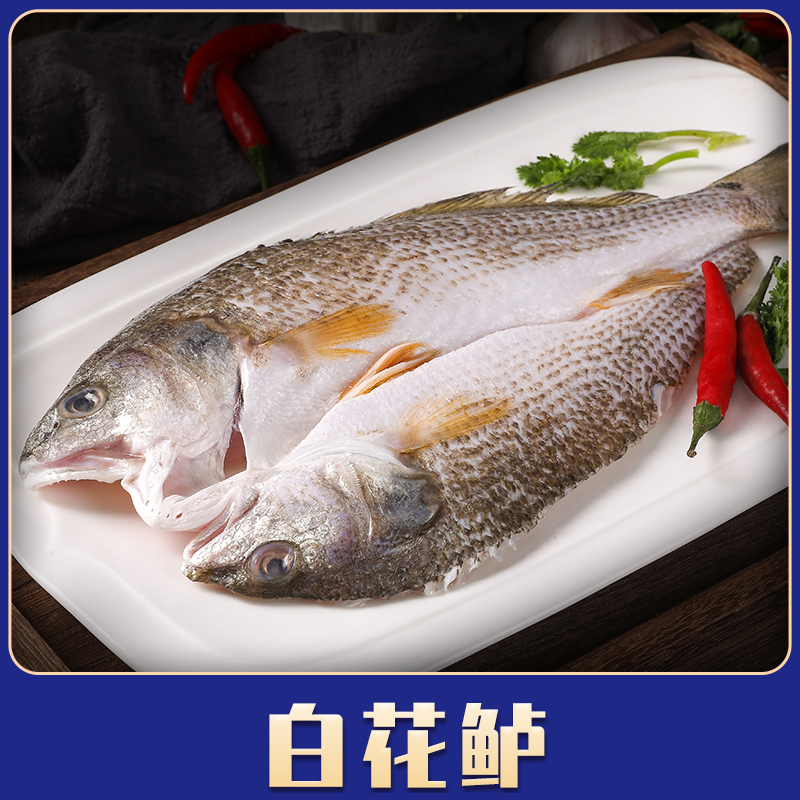 笨仙农开背鲜鲈鱼多规格可选